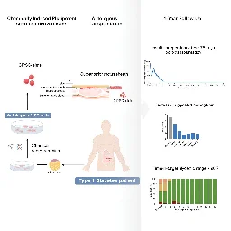 Patient with type 1 diabetes functionally cured using stem cell injections