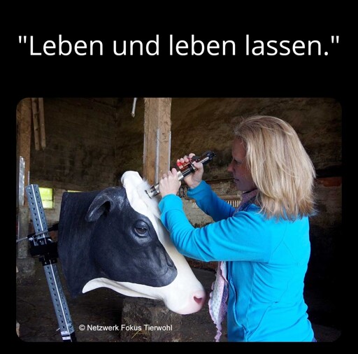 "Leben und leben lassen." als Titel über einem Foto, welches zeigt, wo man bei einer Kuh das Bolzenschussgerät ansetzt.