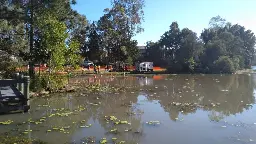 Australian lake ranks among world's most polluted with microplastics