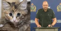 "Worst case of animal cruelty": Videos of cats tortured and killed lead to arrests in Canada