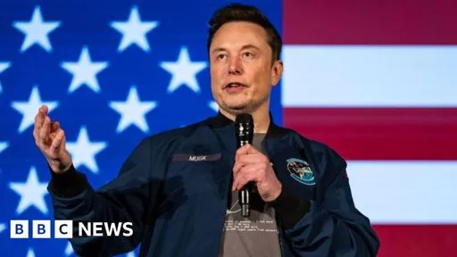 TikTok: Firm calls report of possible sale to Elon Musk 'pure fiction'