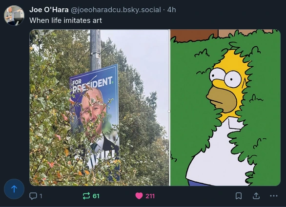 A picture of Homer Simpson retreating backwards into shrubbery, beside a picture of Gavin Sheridan's similarly covered by trees.