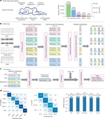 A multimodal sleep foundation model for disease prediction - Nature Medicine